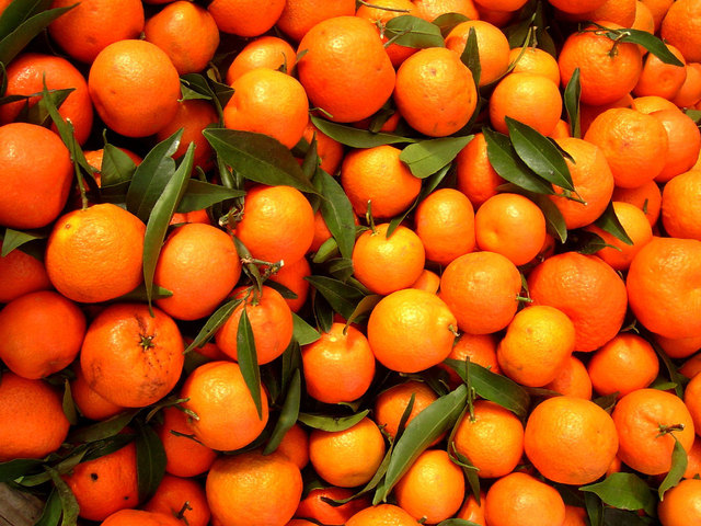 coop agricole