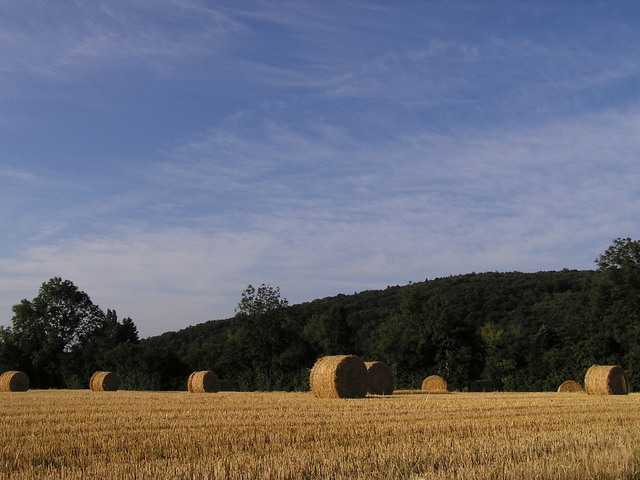 agricoltura campolibero