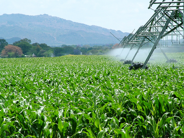 agricoltura fondi