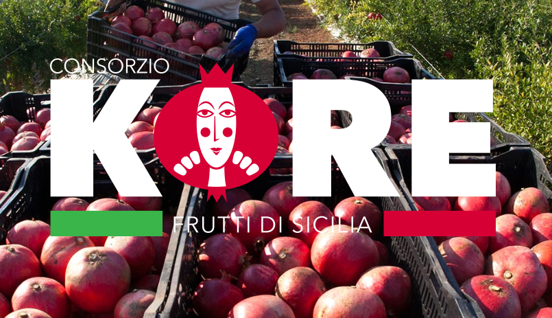 consorzio kore