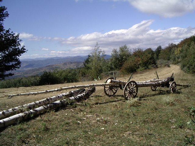 cooperative di comunità