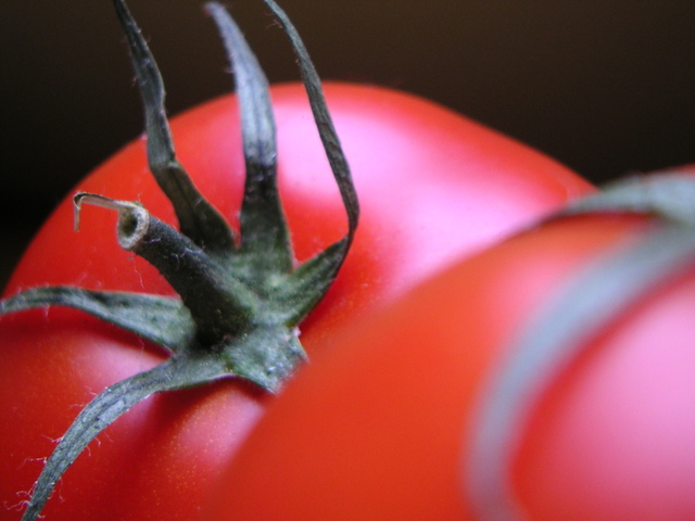 pomodoro prezzo