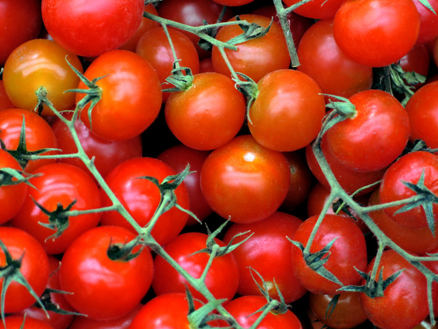 pomodoro italia