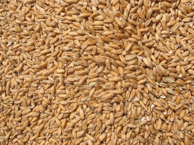 industria alimentare dati