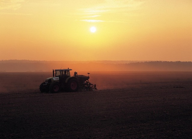 agroalimentare mezzogiorno