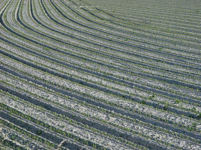 imu agricola