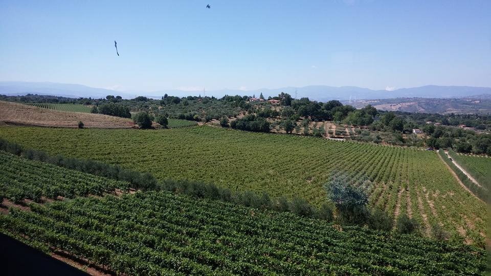 coltivare il futuro ferrocinto