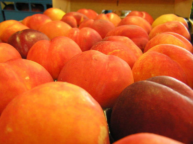 macfrut