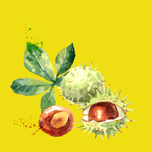 castagne-produzione